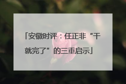 安徽时评：任正非“干就完了”的三重启示